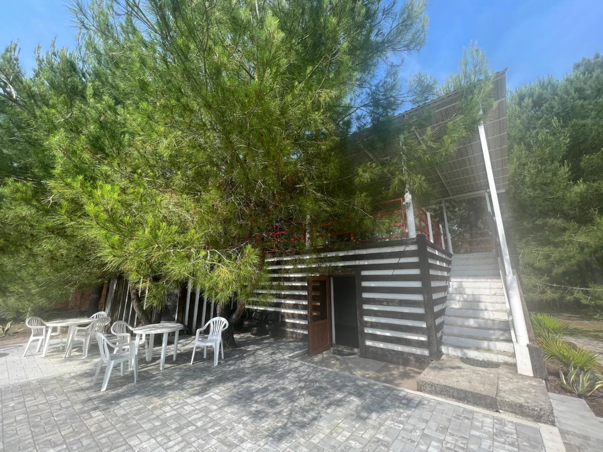 Mini-Hotel Forest Club Pitsunda Exterior foto