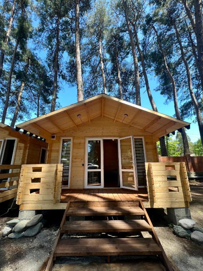 Mini-Hotel Forest Club Pitsunda Exterior foto